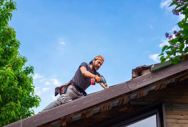 Best Steel Roofing  in Murphy, TX