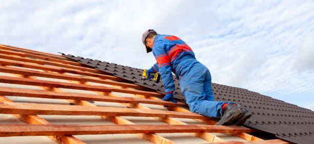 Best Roof Moss and Algae Removal  in Murphy, TX